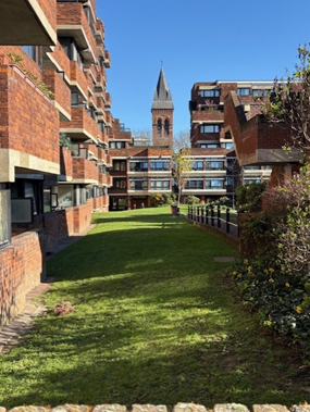 Read more about the article Pimlico Uncovered